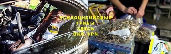 spice Армянск