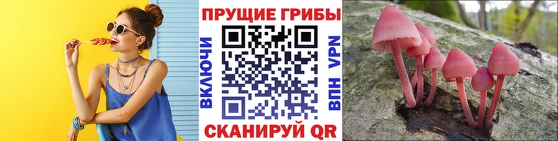 Псилоцибиновые грибы ЛСД  где можно купить   shop формула  Красногорск 